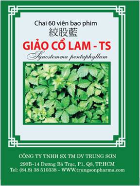 Giảo cổ lam - Hoàng Bảo Ngân - Công Ty TNHH Hoàng Bảo Ngân